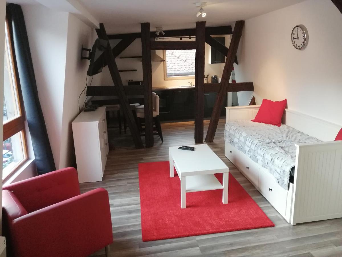 Apartment Magnifique Plein Centre De Selestat
